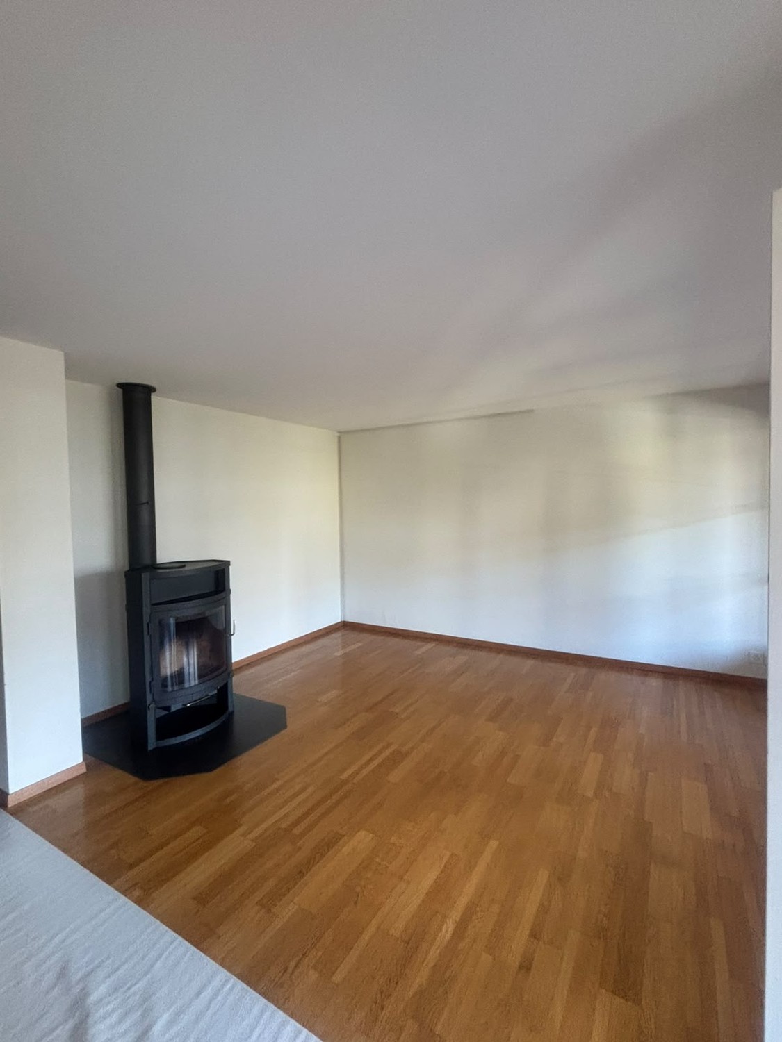 Appartamento di 3 ½ locali, foto 2 di 8