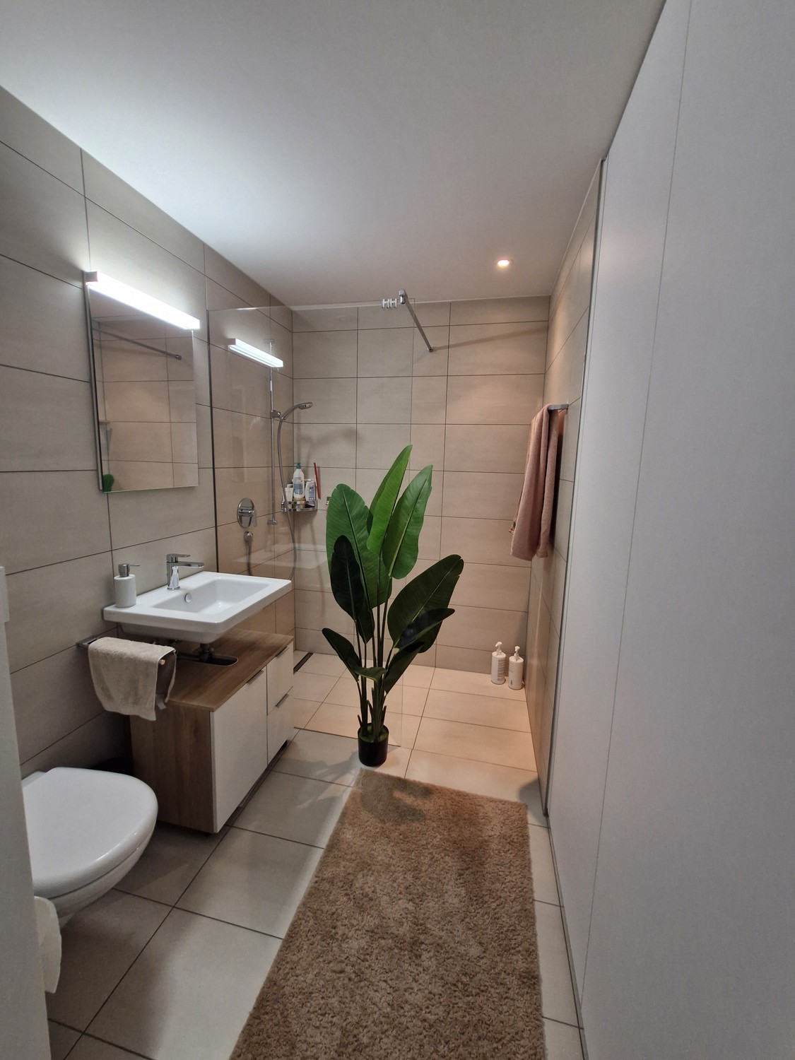 Appartamento di 3 ½ locali, foto 9 di 9