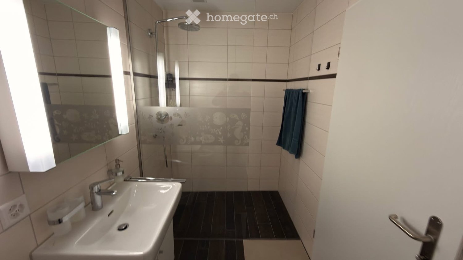 Appartement de 3 ½ pièces
