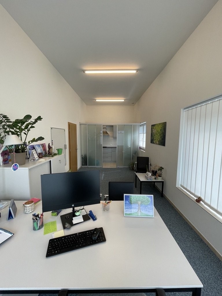 52m² commerciale