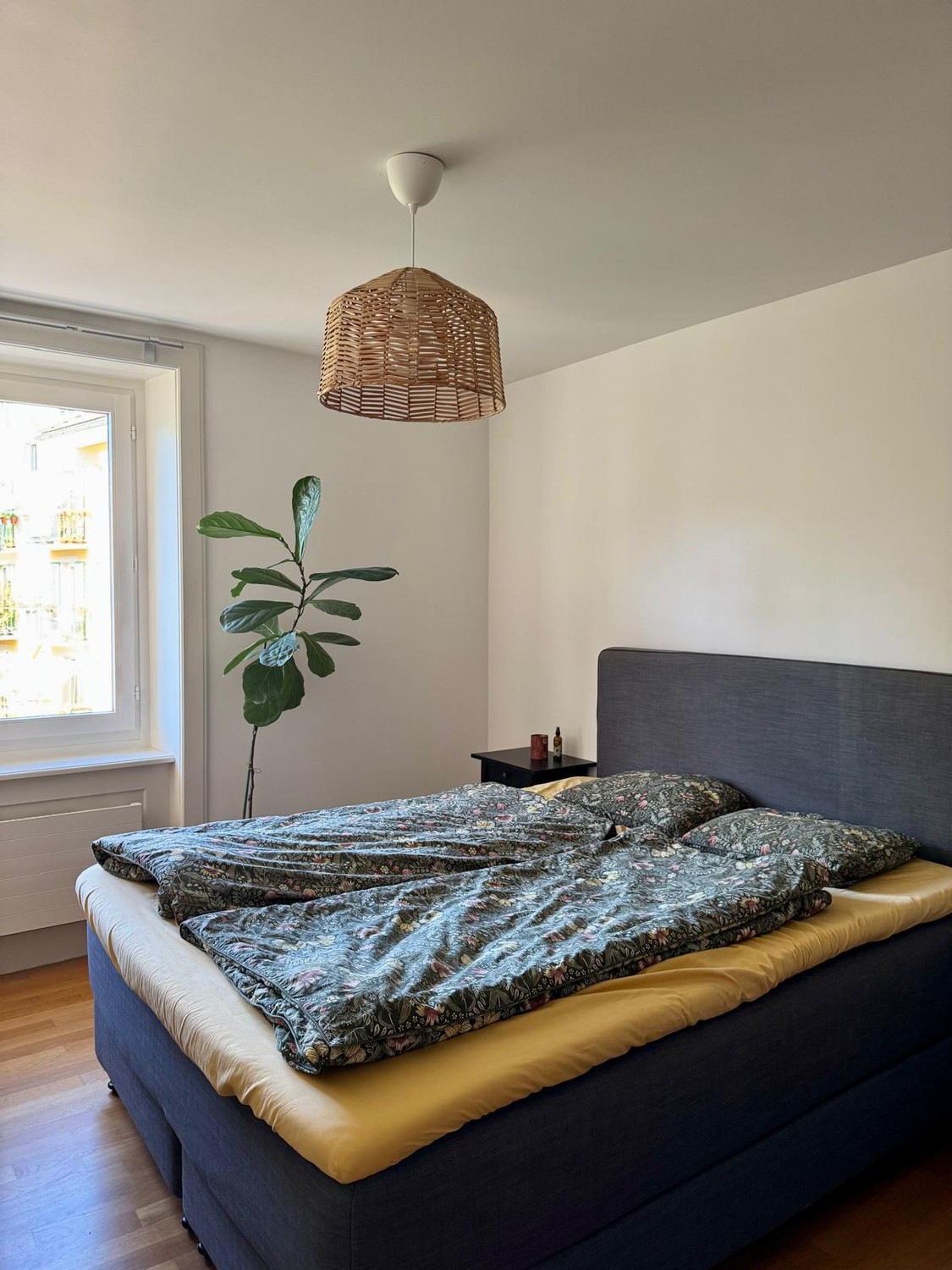 Appartamento di 2 ½ locali, foto 3 di 5