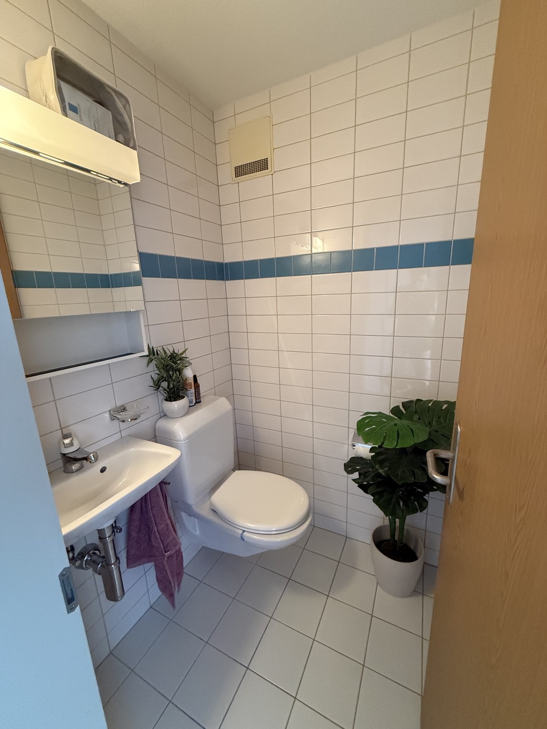 Appartamento di 3 ½ locali, foto 6 di 7