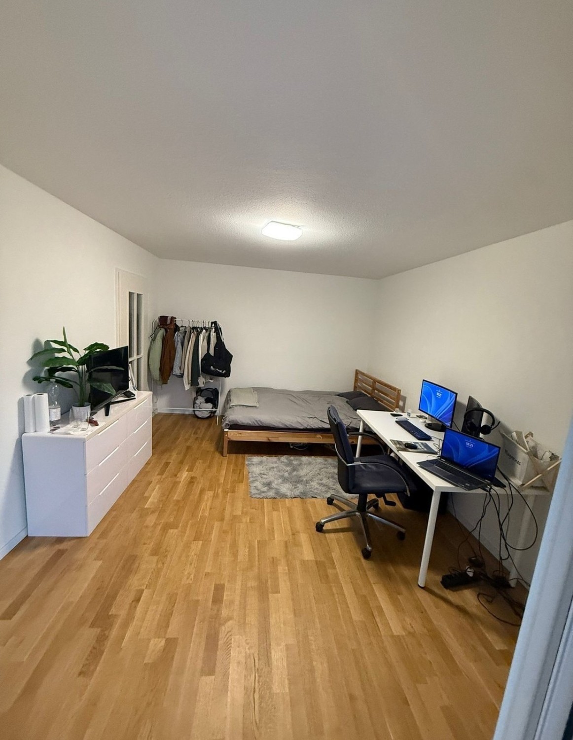 Room in a shared flat