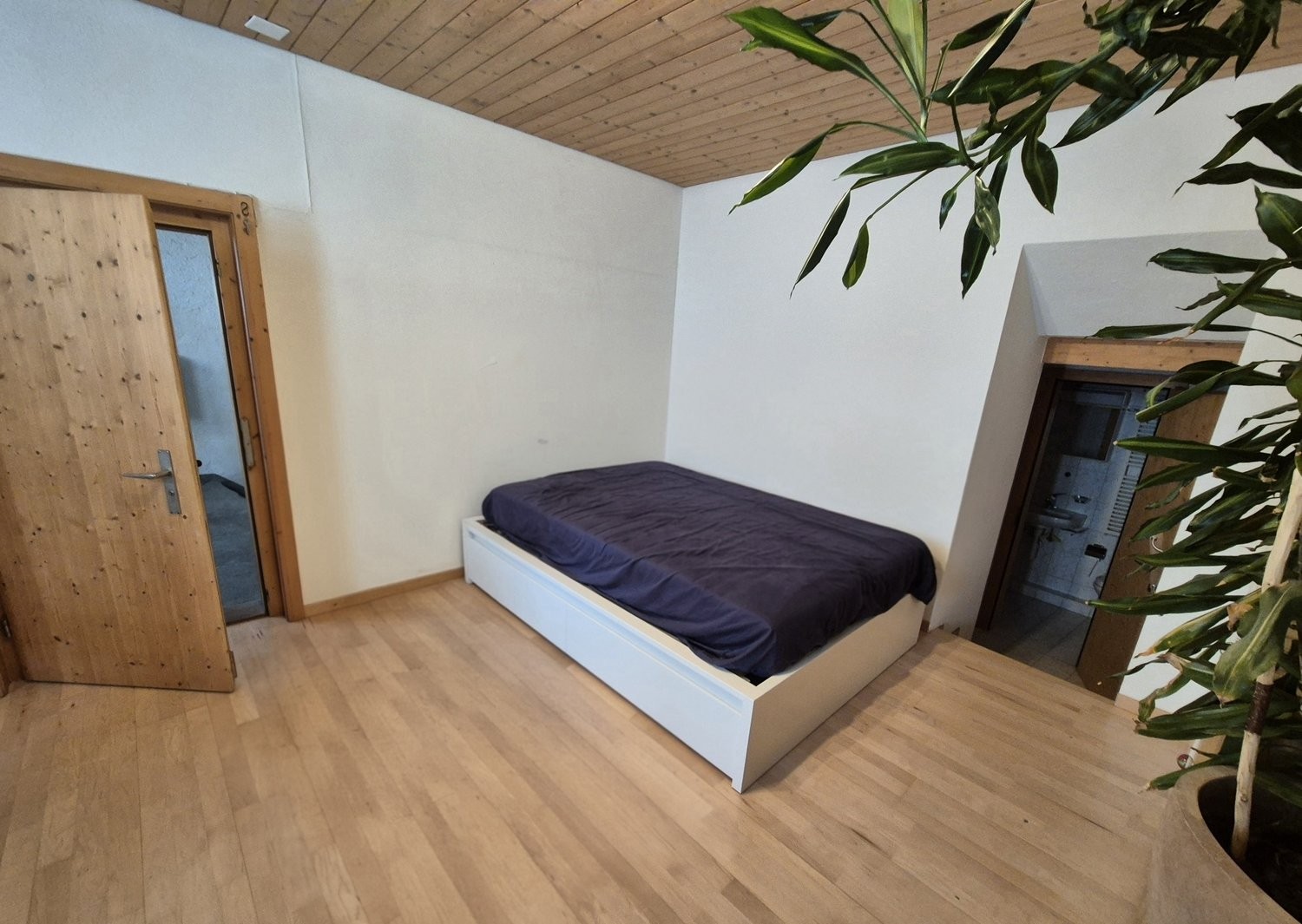 Appartamento arredato di 2 ½ locali, foto 1 di 5