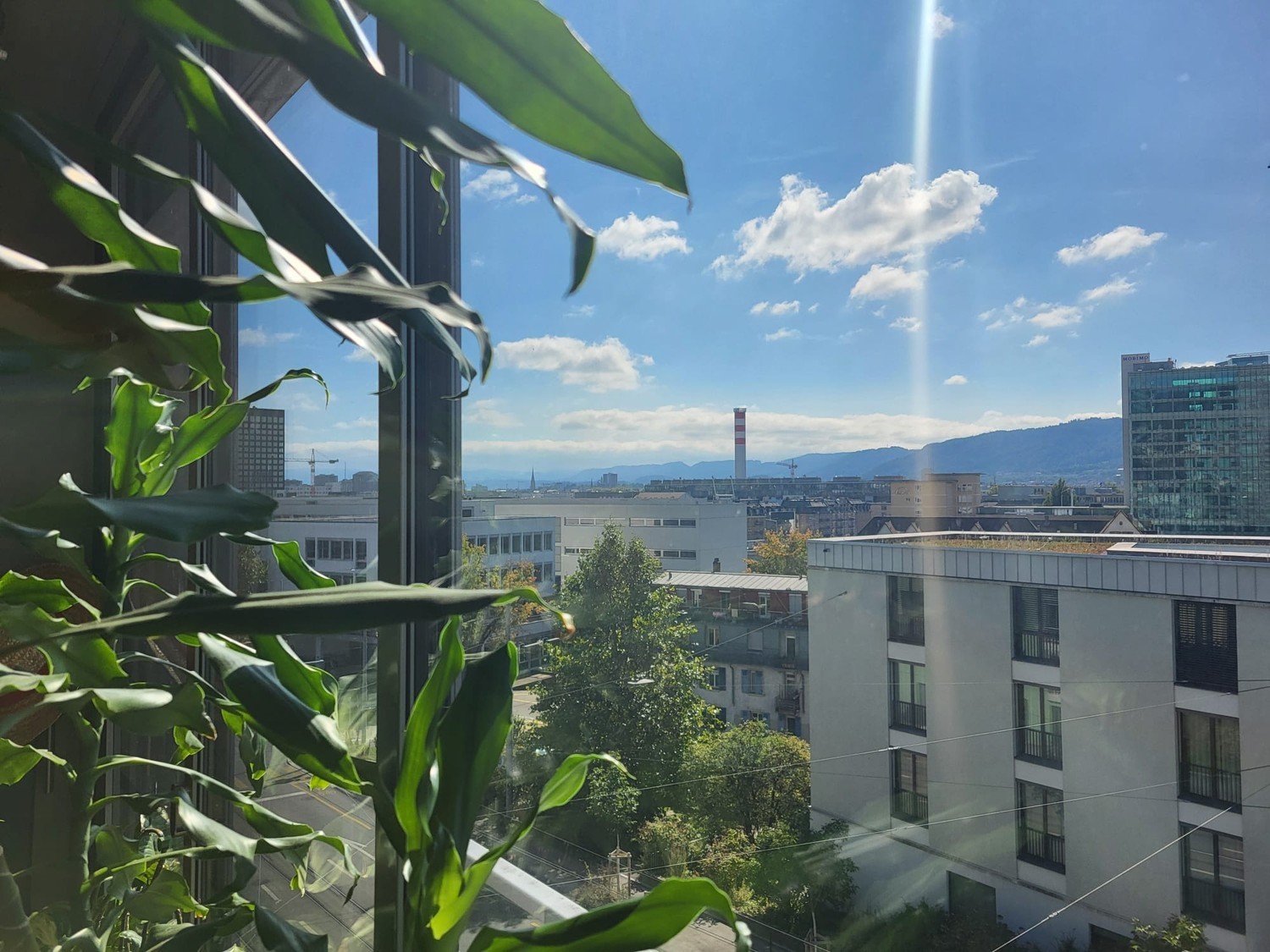 Appartamento di 2 ½ locali