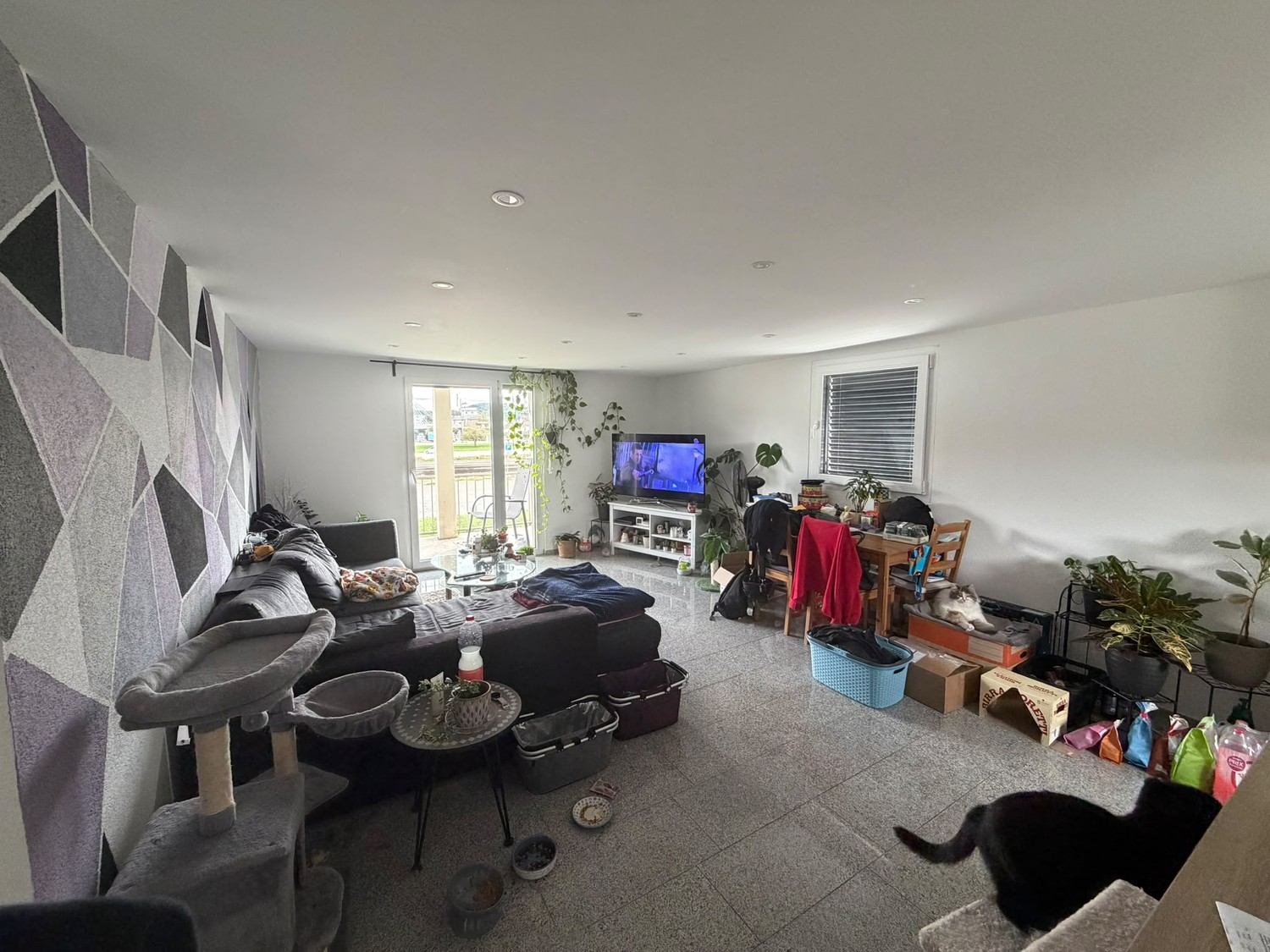 Appartamento di 3 ½ locali, foto 1 di 6
