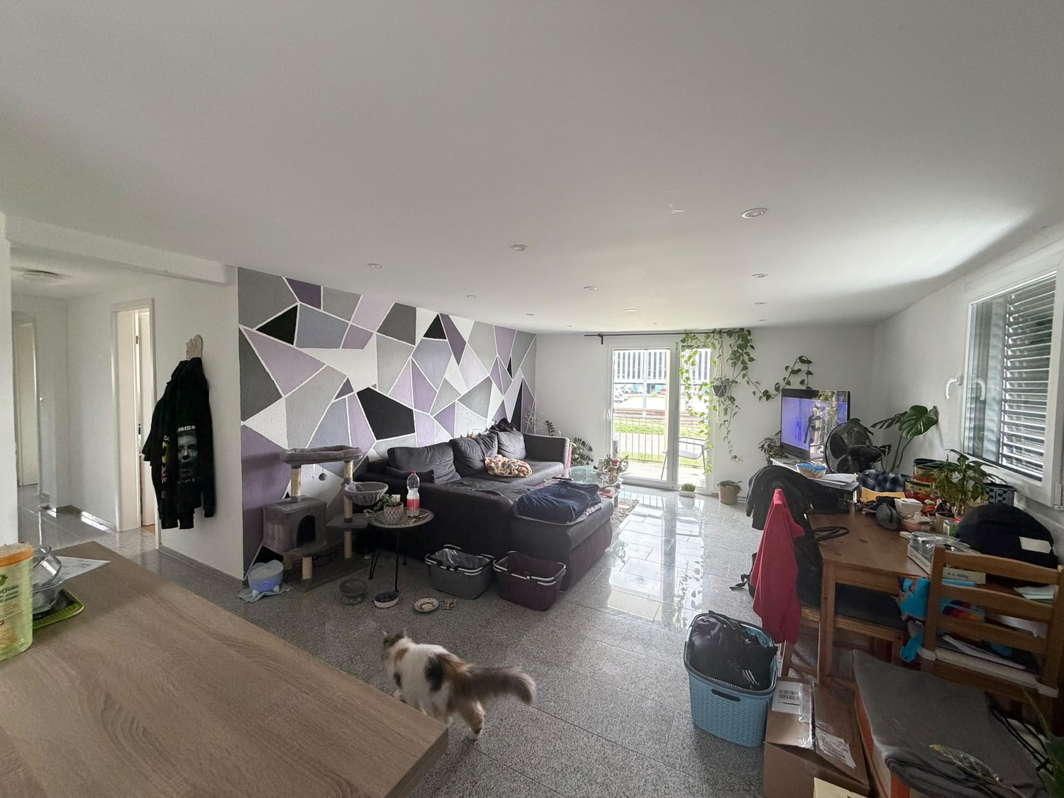 Appartamento di 3 ½ locali, foto 2 di 6