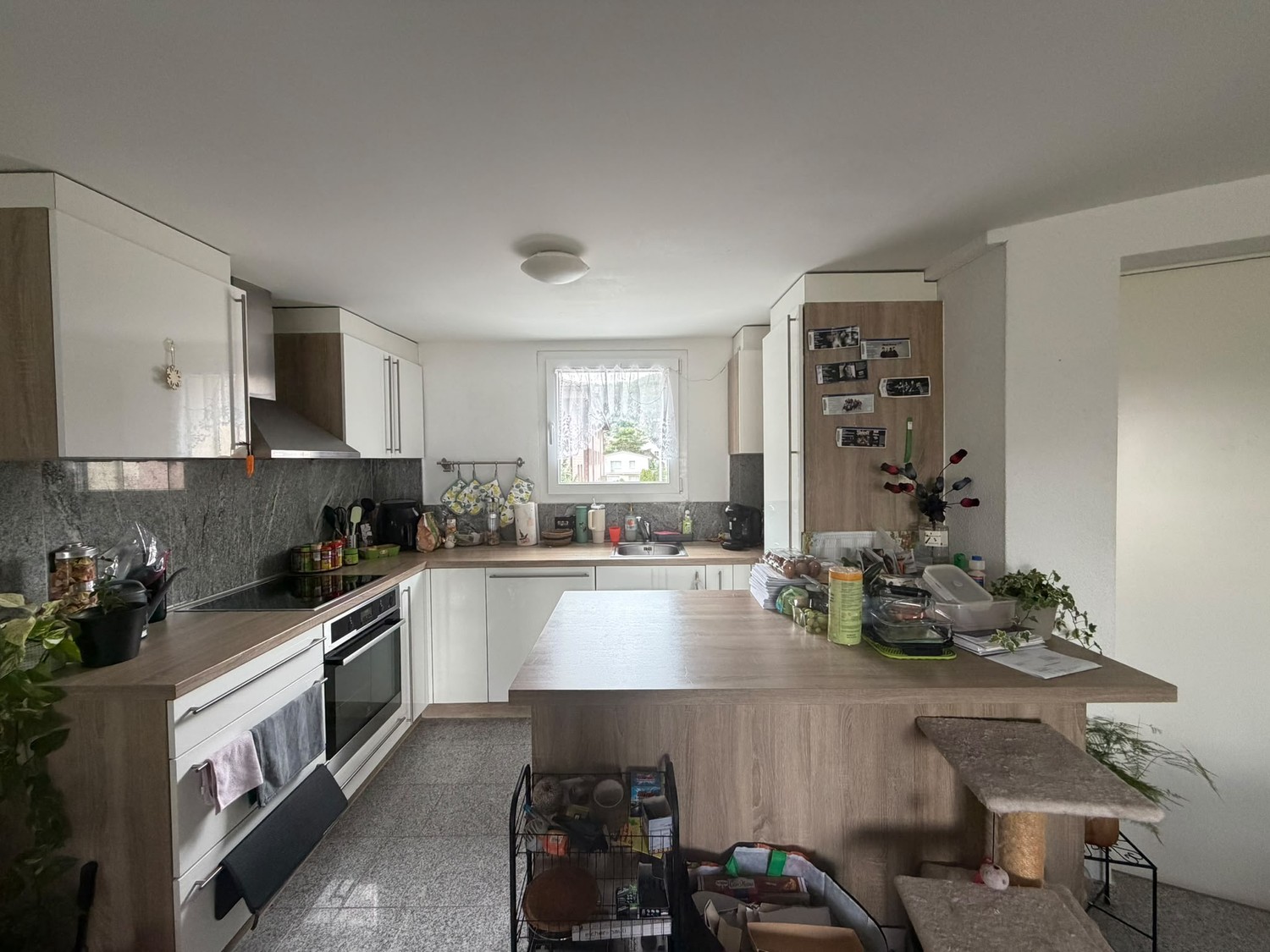 Appartamento di 3 ½ locali, foto 3 di 6