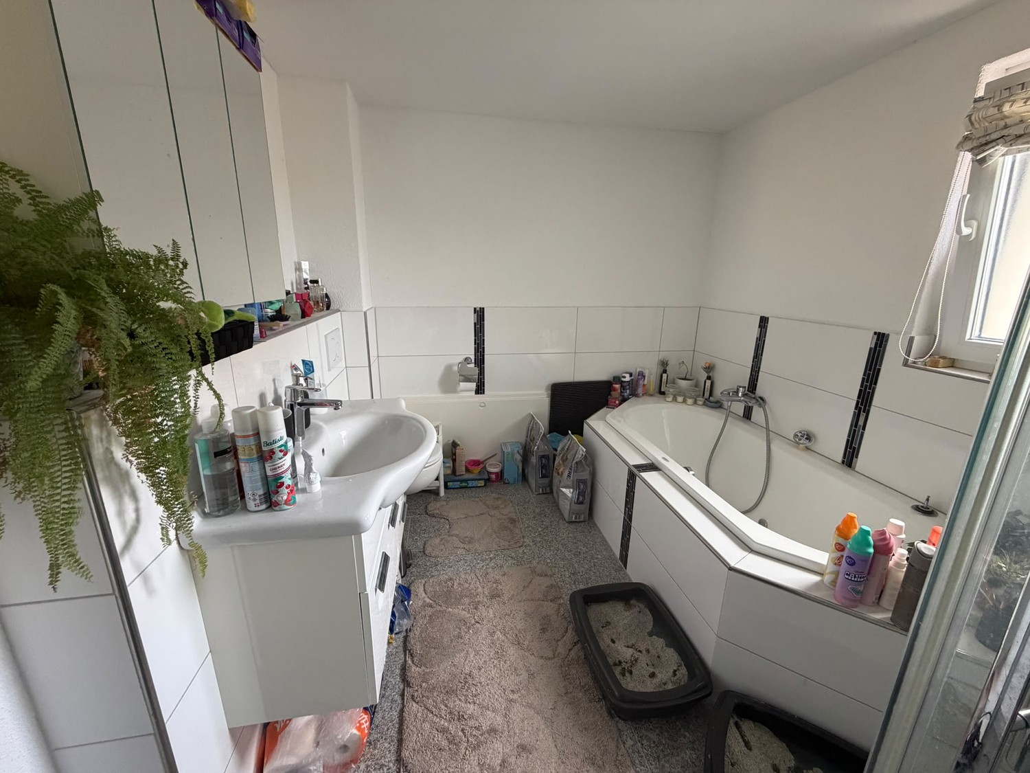 Appartamento di 3 ½ locali, foto 6 di 6