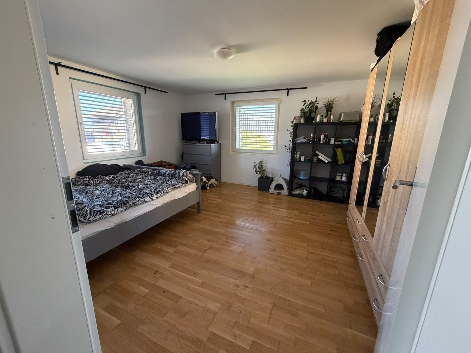 Appartamento di 3 ½ locali, foto 5 di 6