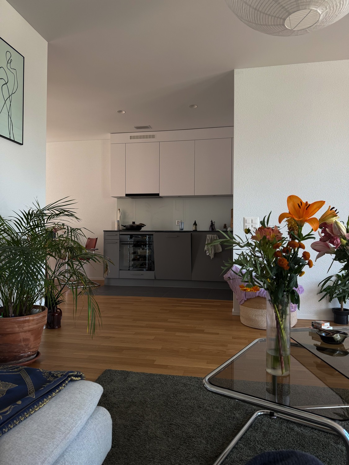 Appartamento di 2 ½ locali