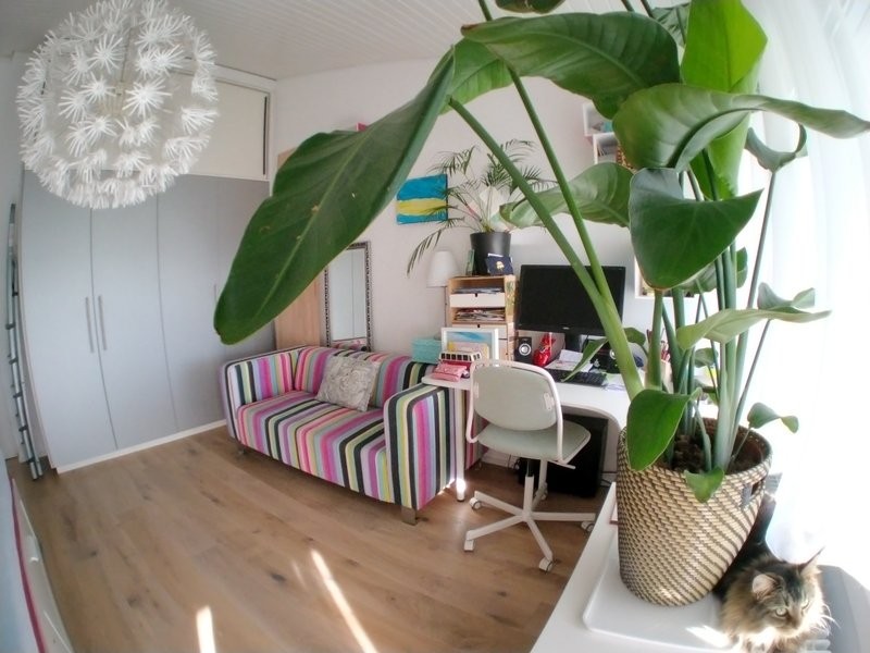 Appartamento arredato di 5 ½ locali, foto 5 di 10