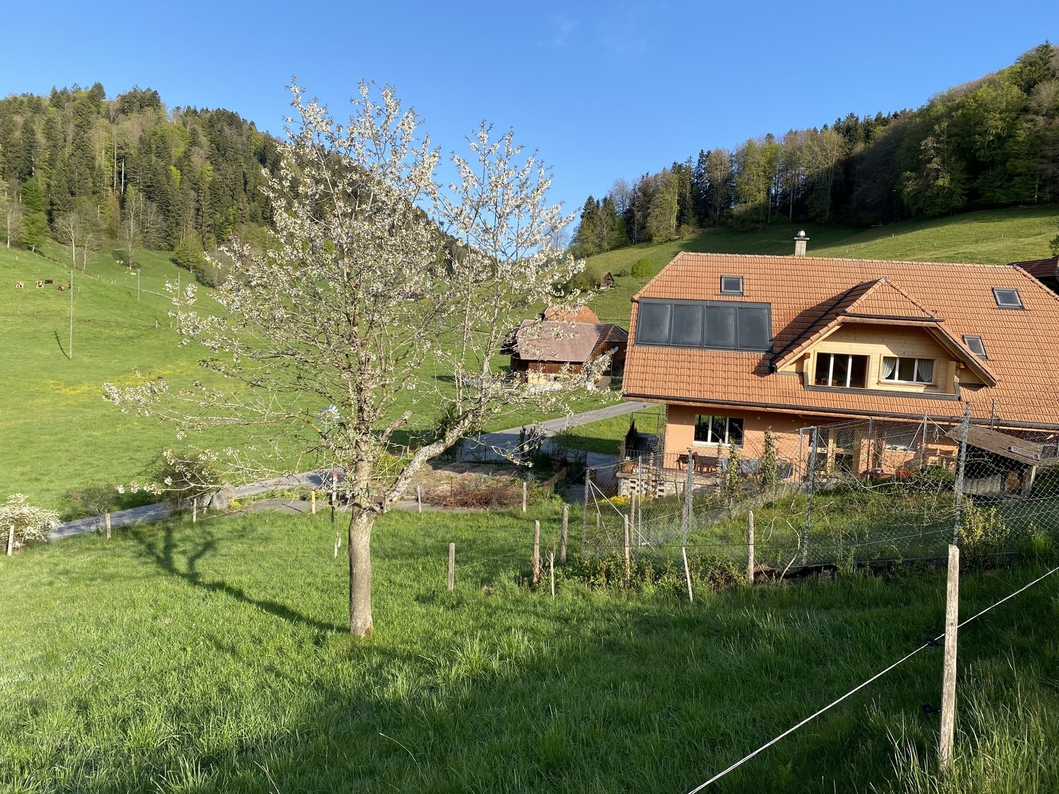 appartamento arredato di 2 ½ locali, foto 9 di 10