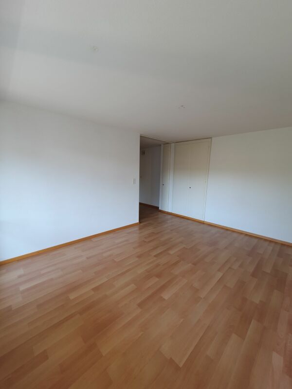 Appartamento di 2 ½ locali, foto 10 di 10