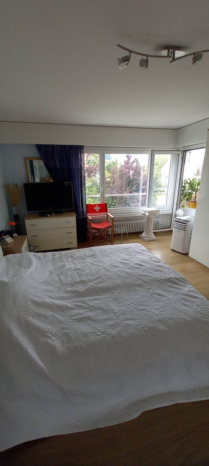 Appartamento di 2 ½ locali, foto 2 di 10