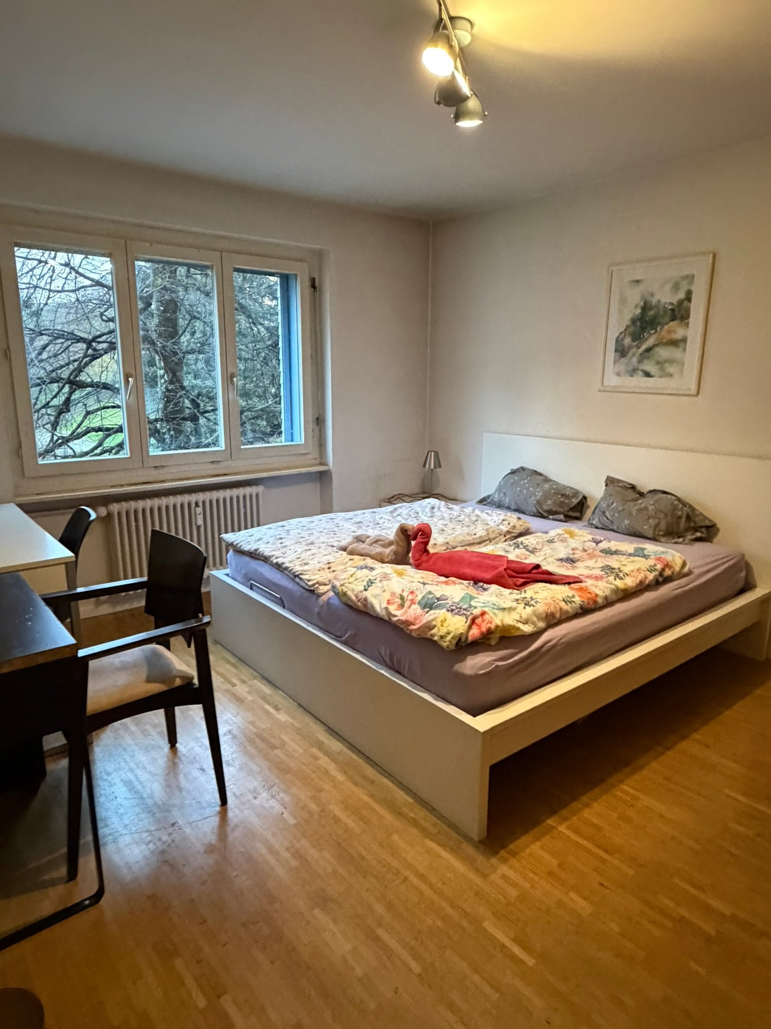 Appartamento arredato di 2 ½ locali, foto 5 di 10