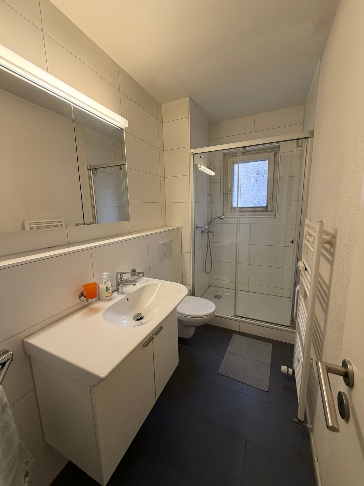 Appartamento arredato di 2 ½ locali, foto 10 di 10