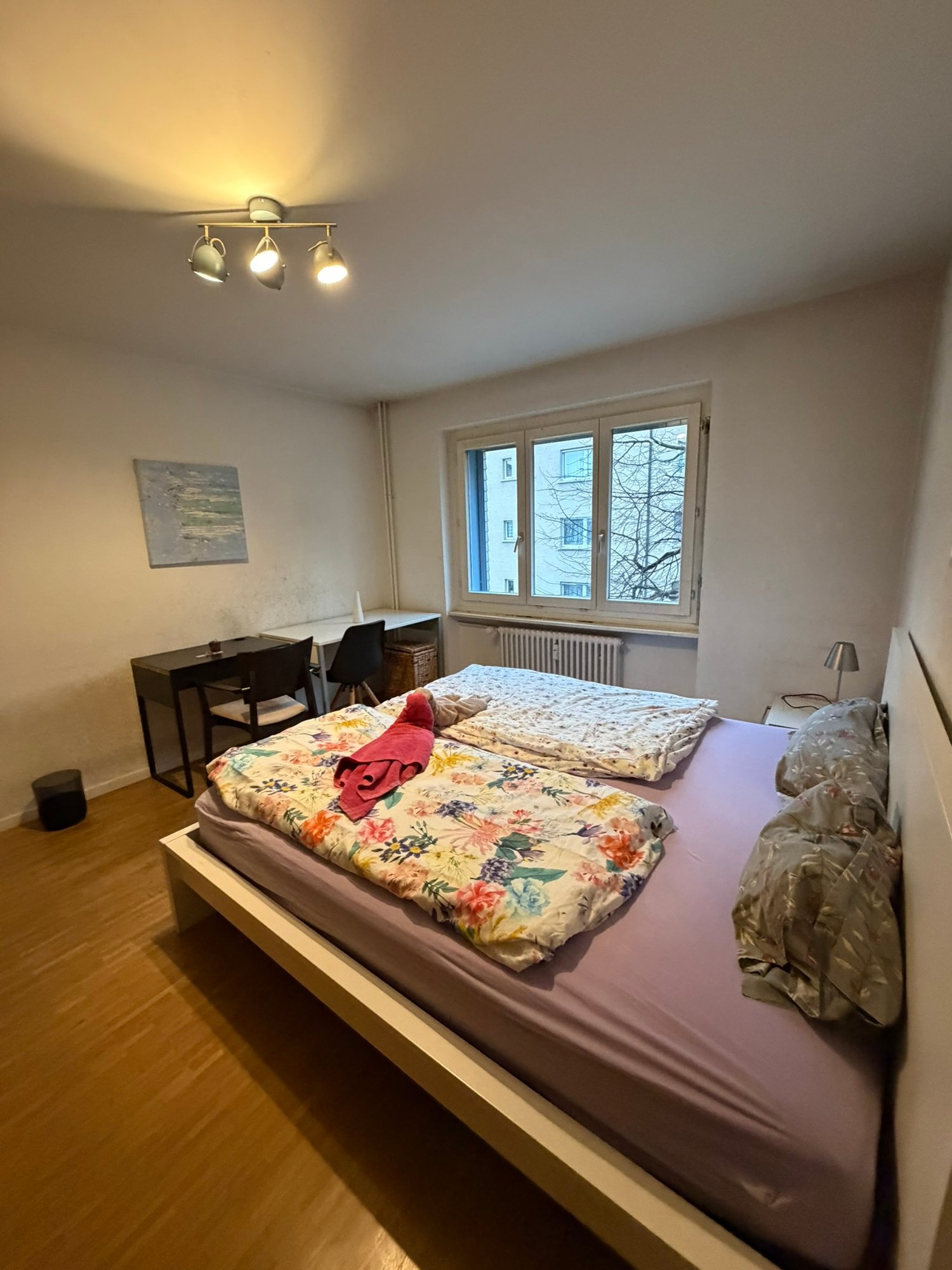Appartamento arredato di 2 ½ locali, foto 6 di 10