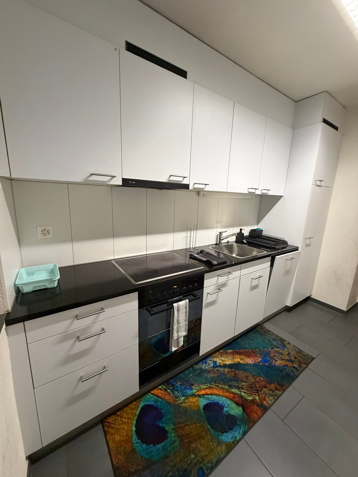Appartamento arredato di 2 ½ locali, foto 8 di 10