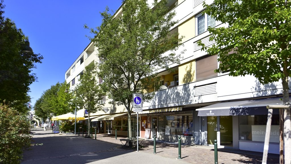 Appartamento di 2 ½ locali