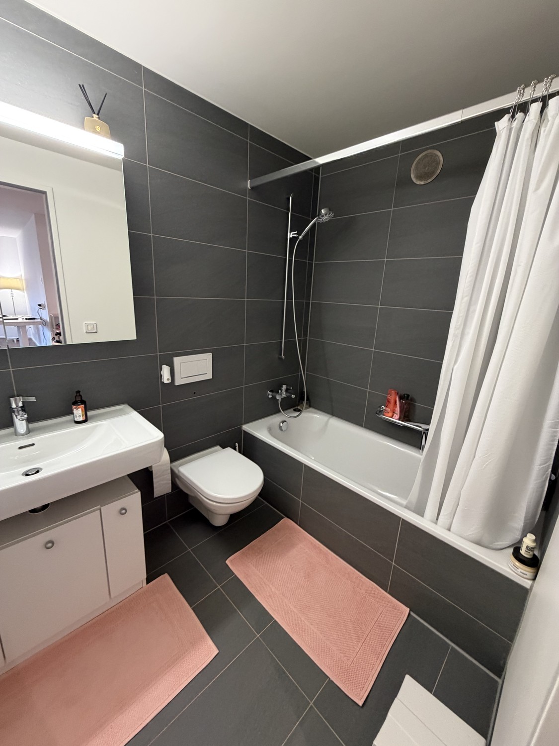 Appartamento di 2 ½ locali, foto 3 di 4
