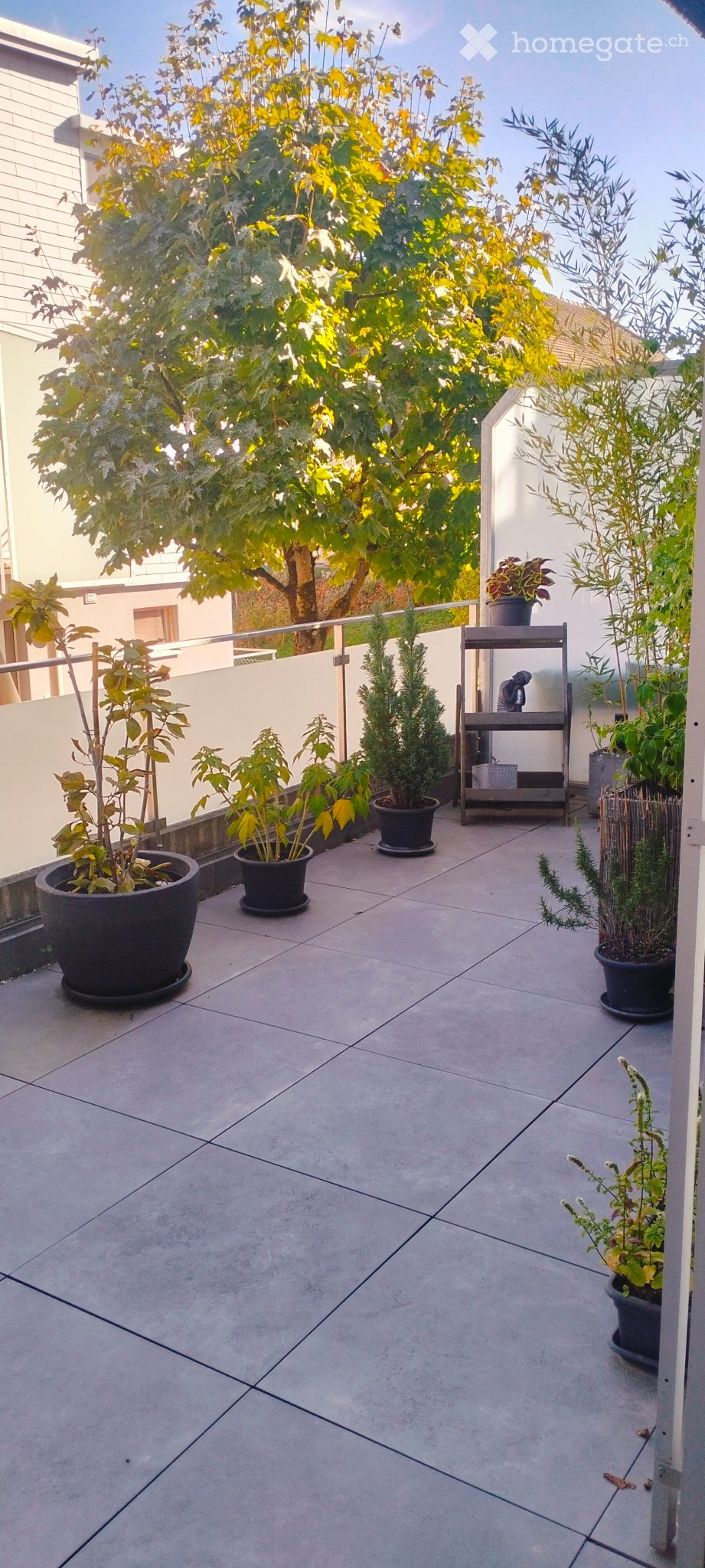 Appartamento di 2 ½ locali, foto 1 di 5