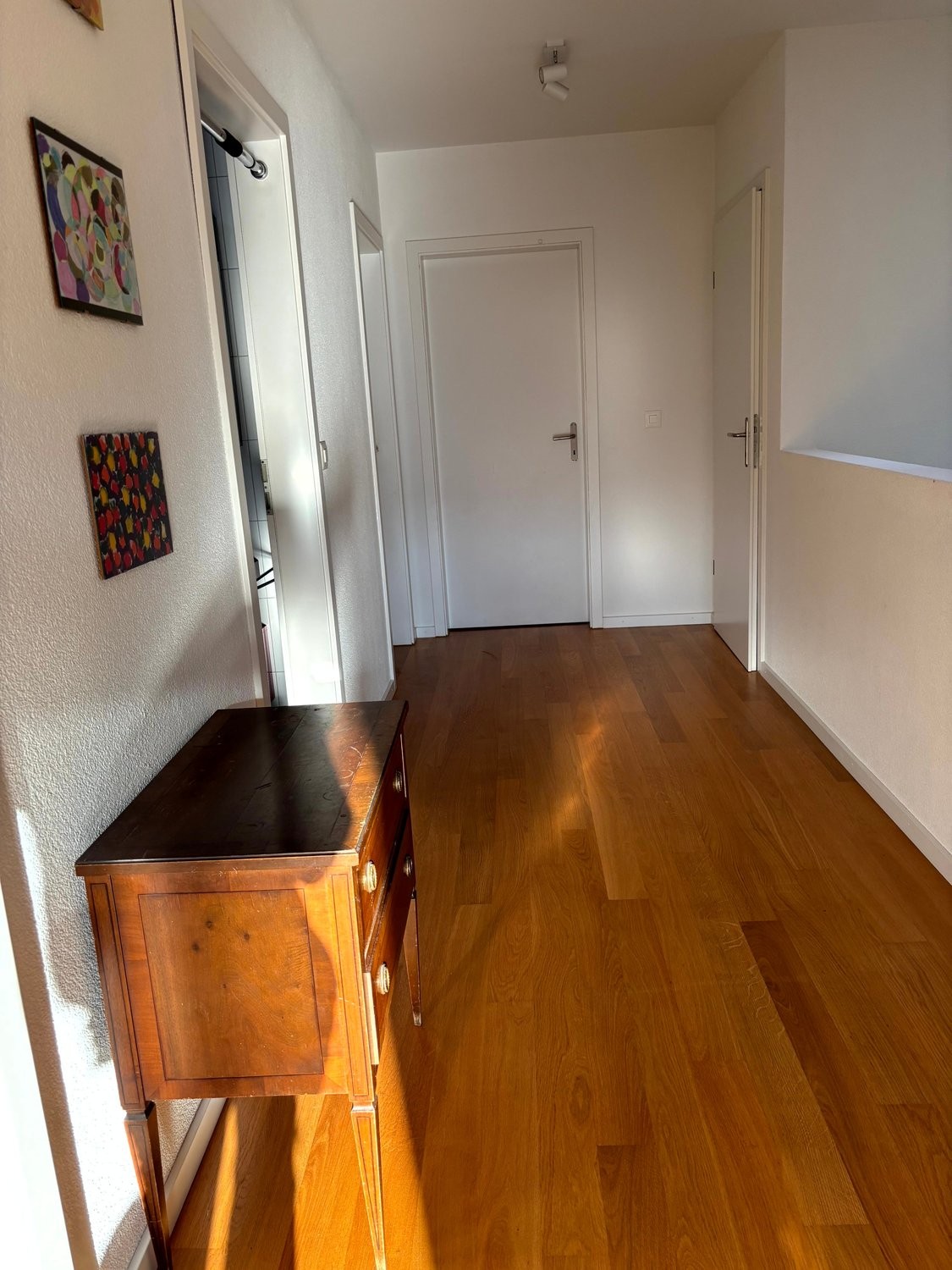 Appartamento arredato di 3 ½ locali, foto 3 di 10