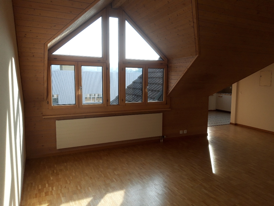 appartamento mansardato di 1 ½ locali, foto 5 di 10
