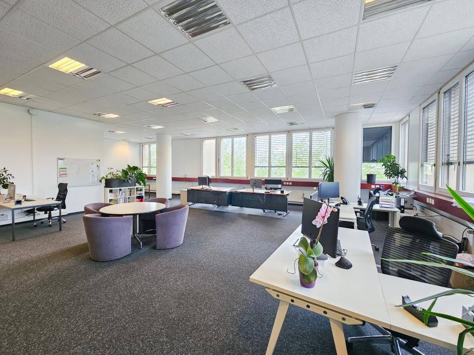 234m² ufficio