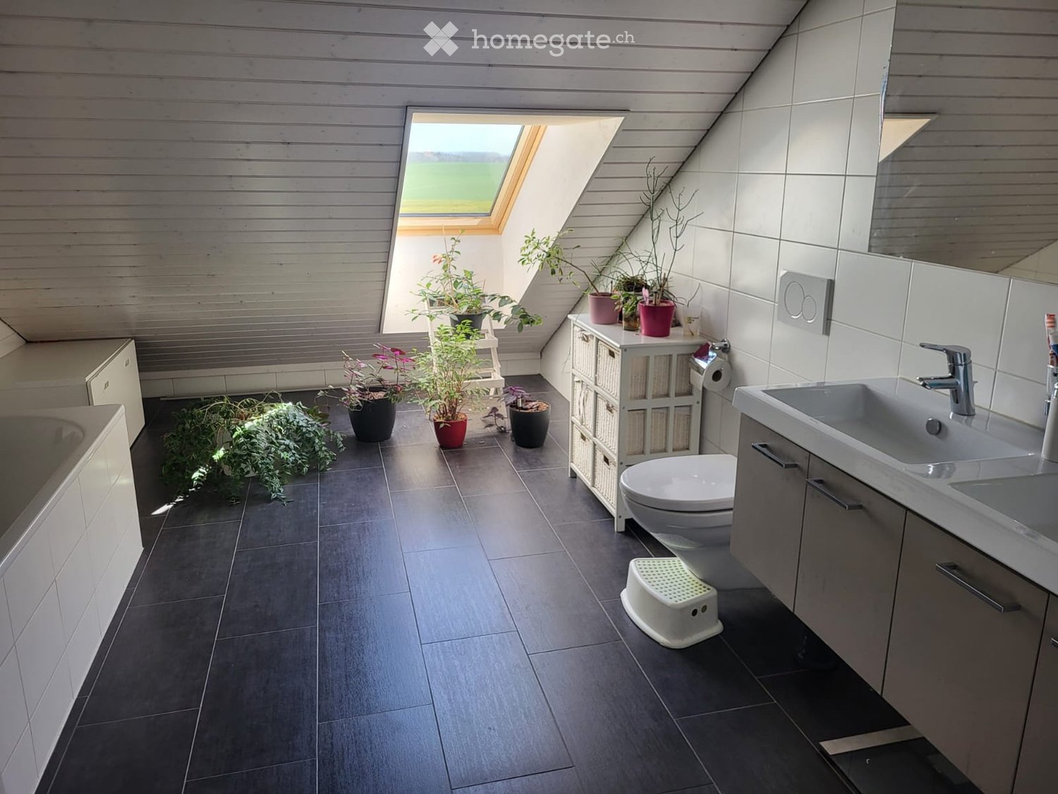 4 ½ rooms apartment