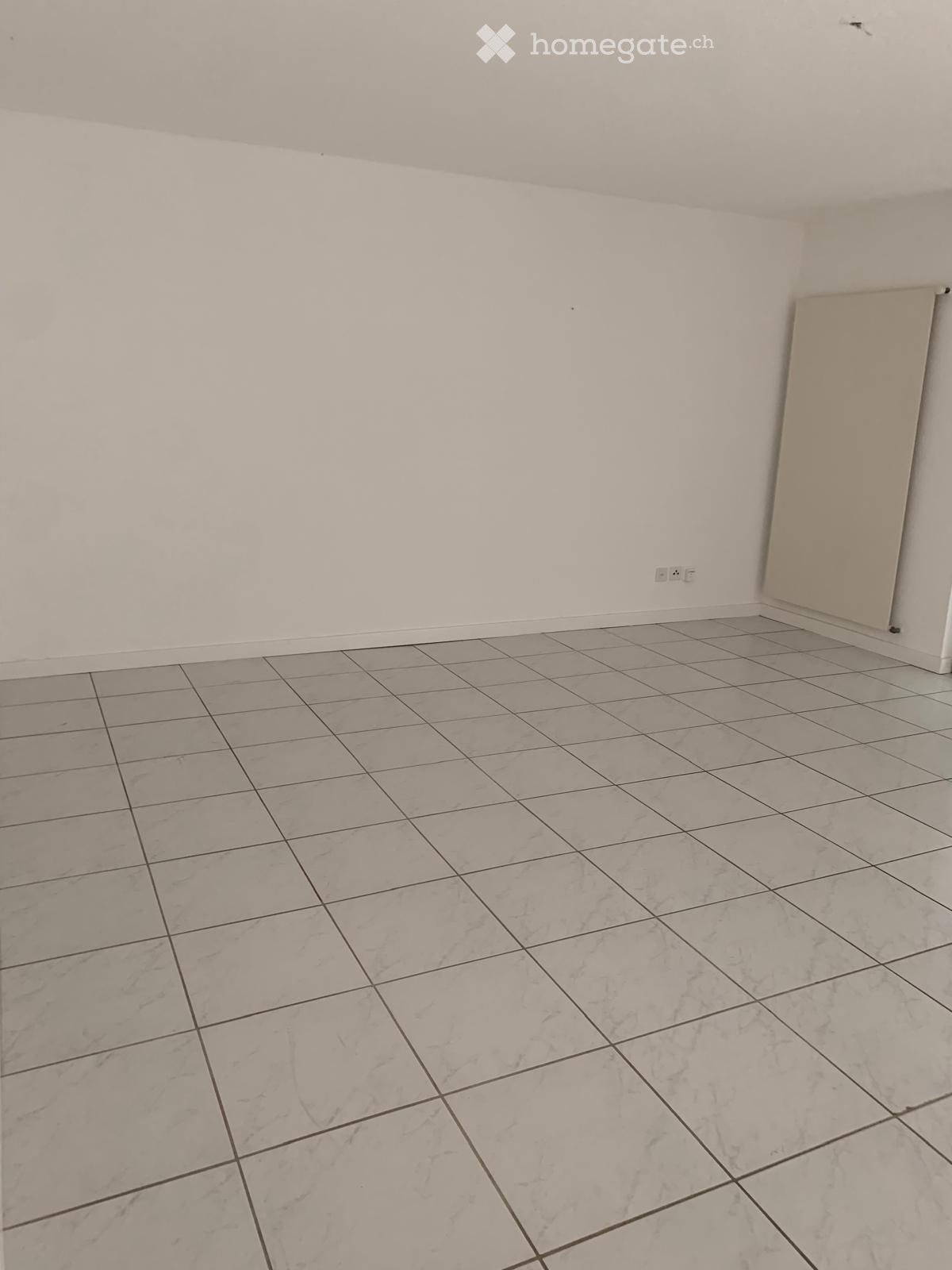 4 ½ Zimmer-Wohnung