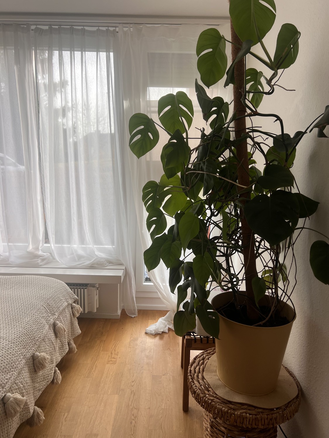 Appartamento di 1 ½ locali, foto 5 di 7