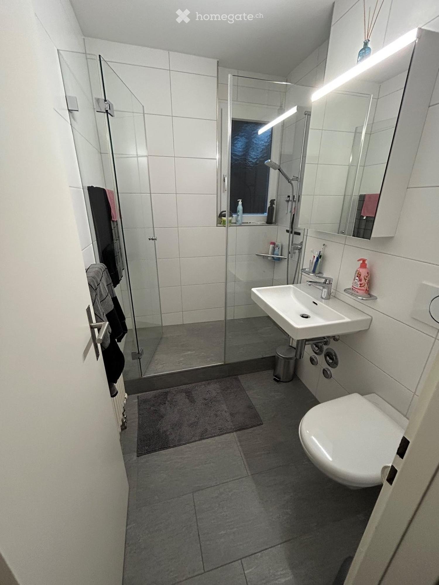 Appartamento di 2 ½ locali, foto 3 di 5