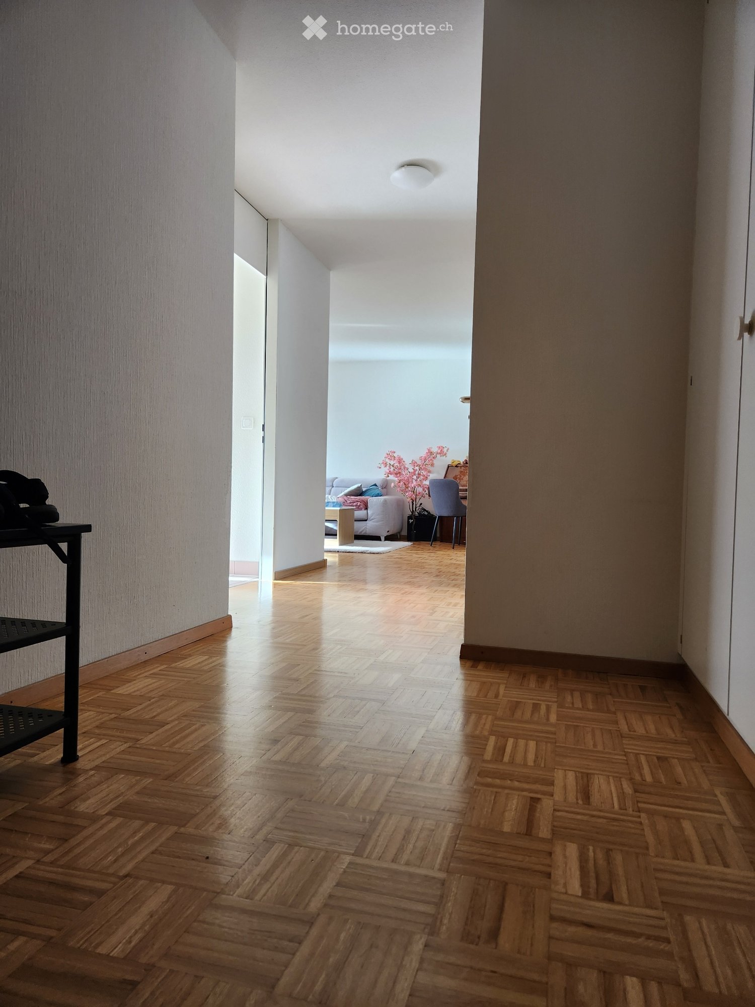 1 Zimmer Einzelzimmer