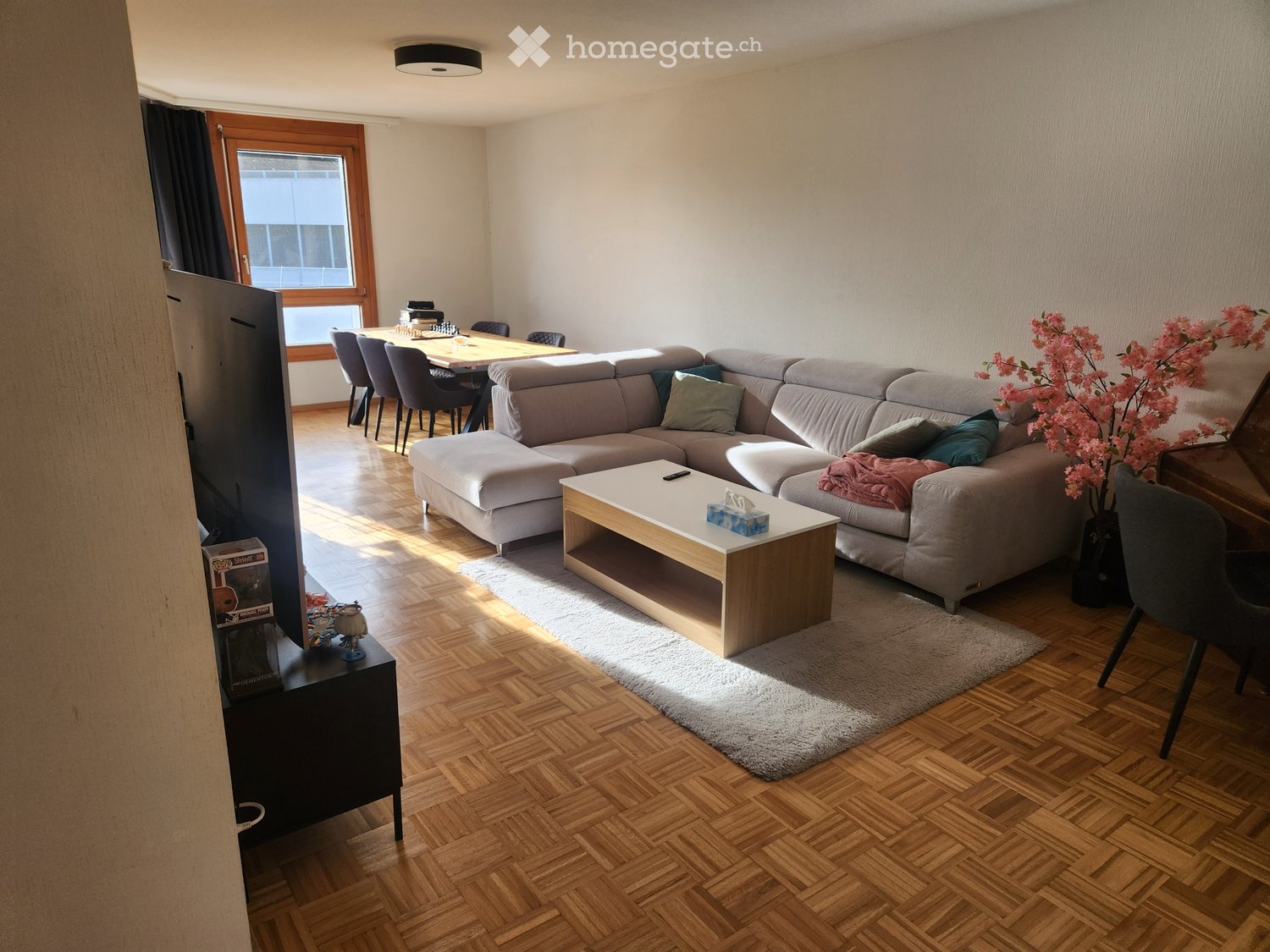 1 Zimmer Einzelzimmer