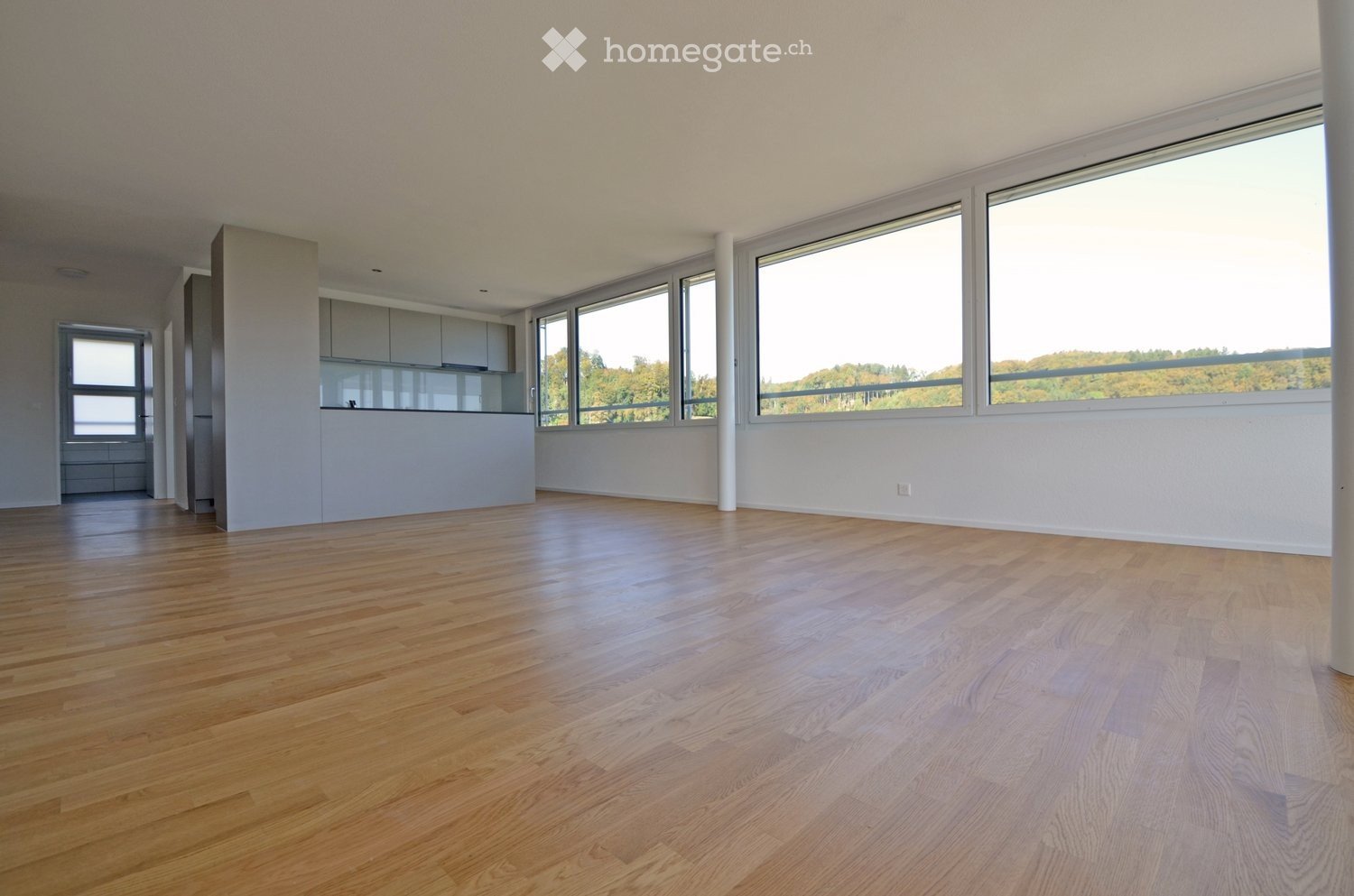 Appartamento di 3 ½ locali