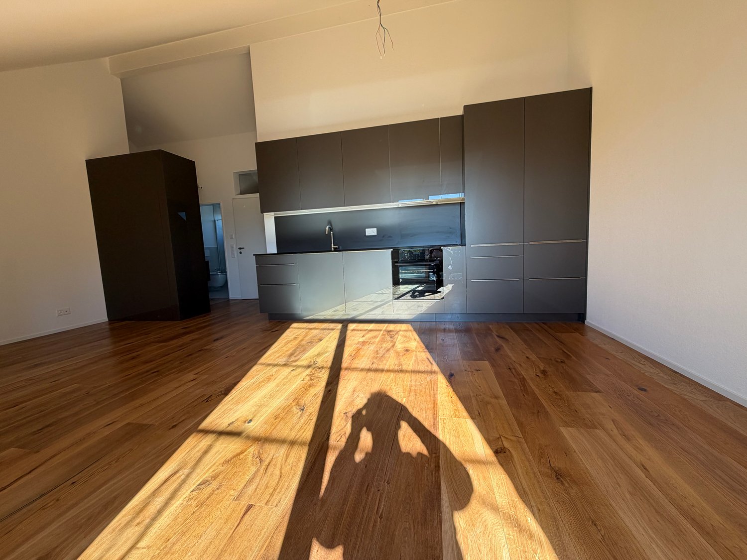 appartamento di 2 ½ locali, foto 3 di 7