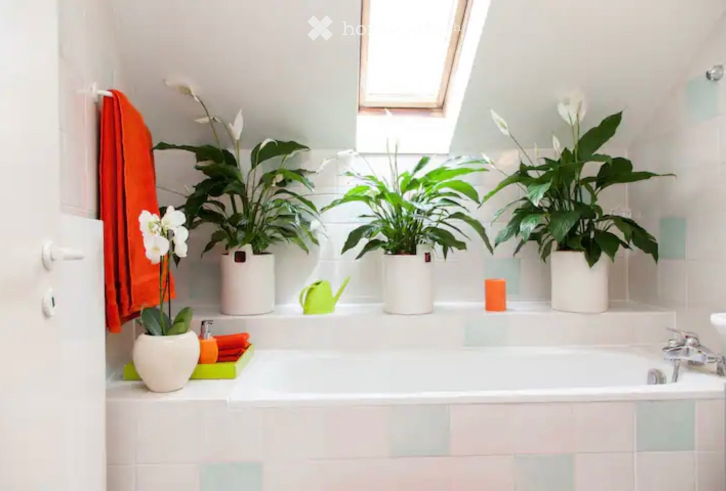Appartamento con 3 locali

Luminoso e completamente arredato appartamento duplex mansardato di 3.5 locali nel cuore di Ginevra, a Eaux-Vives, a soli 150 metri dal lago.
Situato al 7° piano, l'appartamento gode di una splendida vista sul lago e sul Jet dEau.
- Ampio soggiorno con un impressionante so, foto 3 di 5