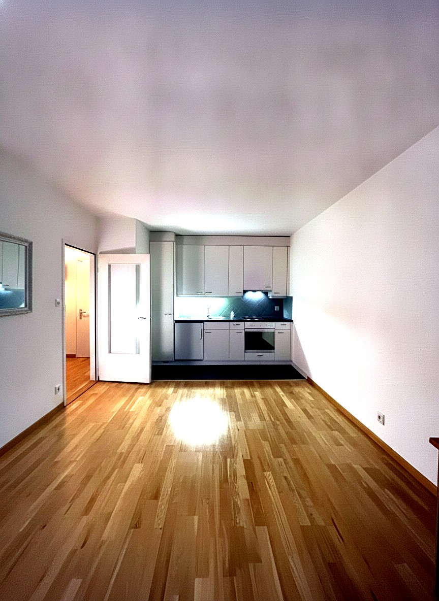 appartamento di 2 locali, foto 3 di 4
