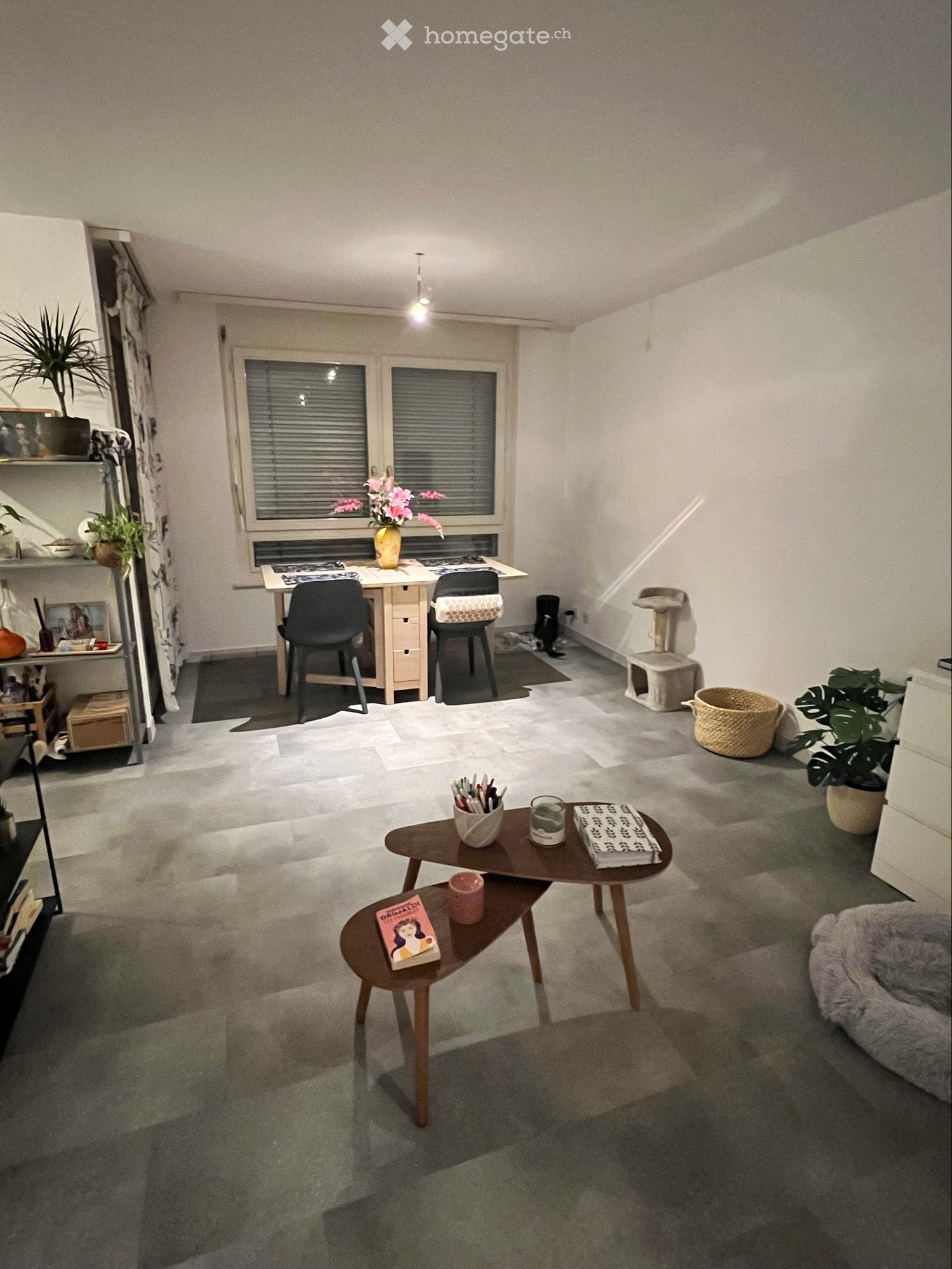 appartamento di 1 locali, foto 1 di 4