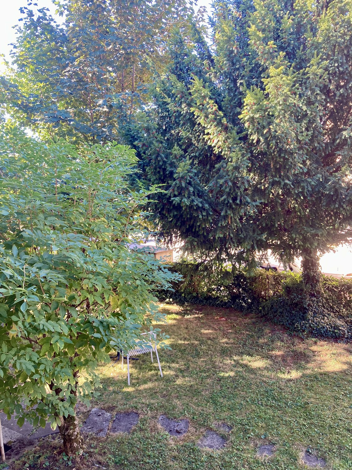 Appartamento di 1 ½ locali