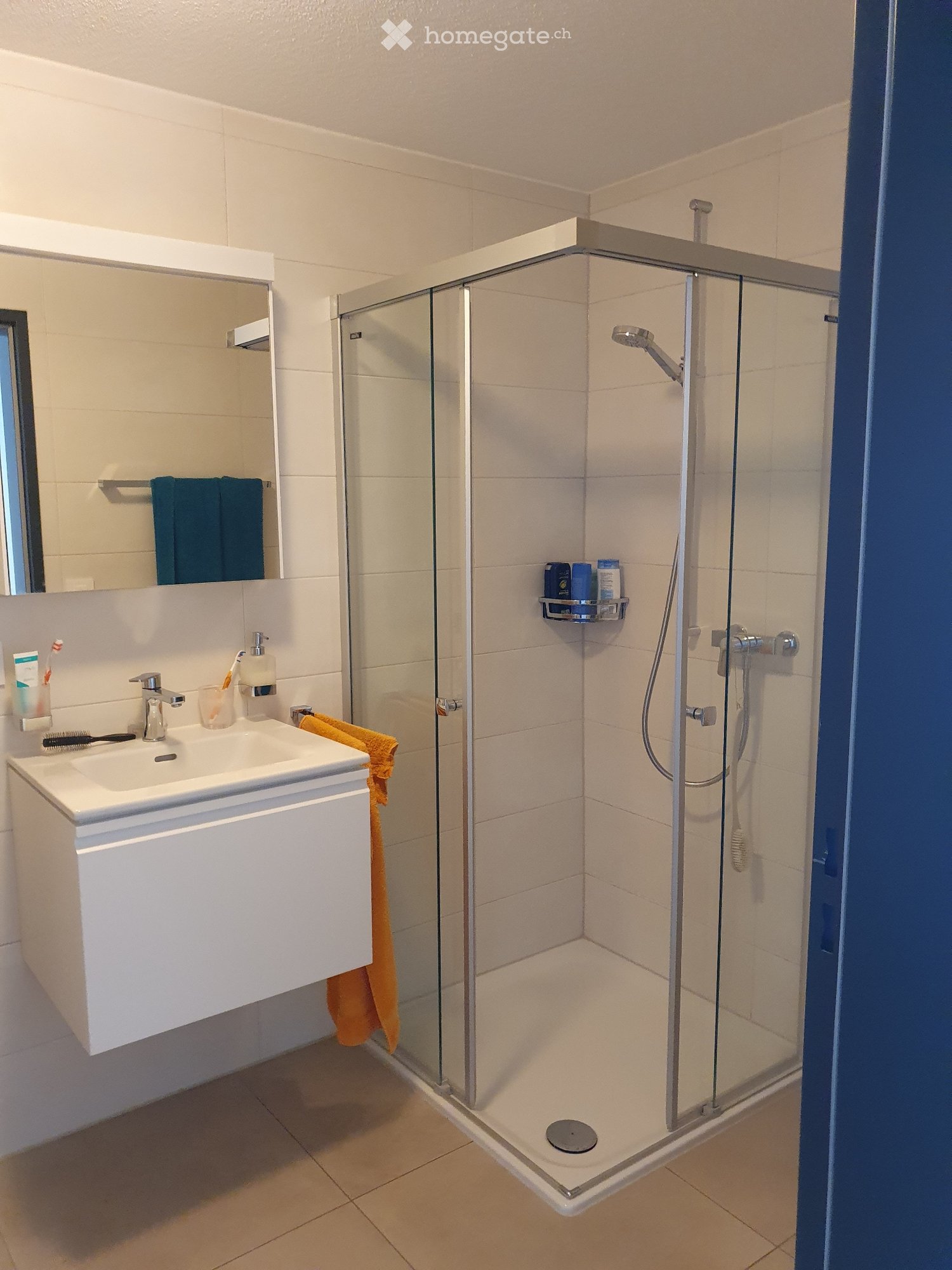 4 ½ Zimmer Wohnung