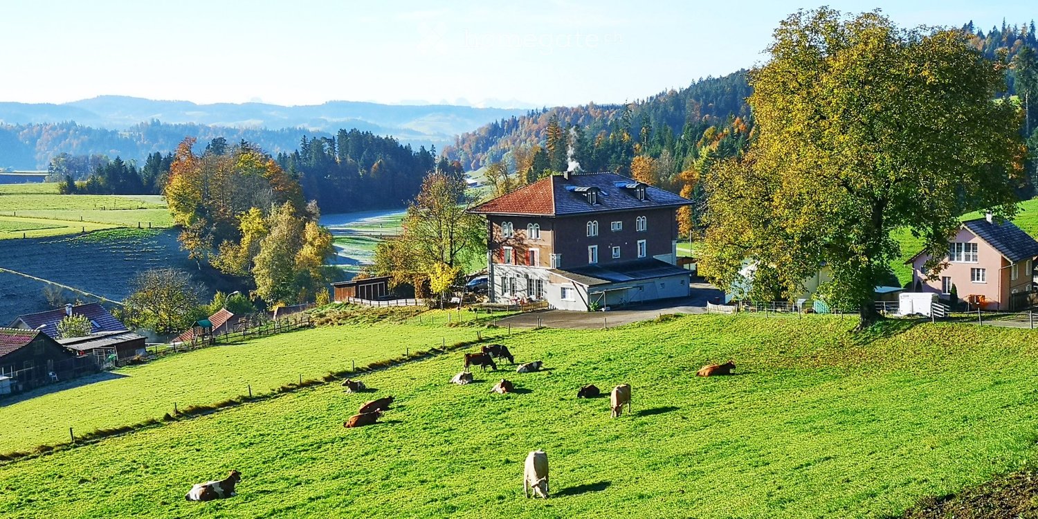 Appartamento di 3 ½ locali