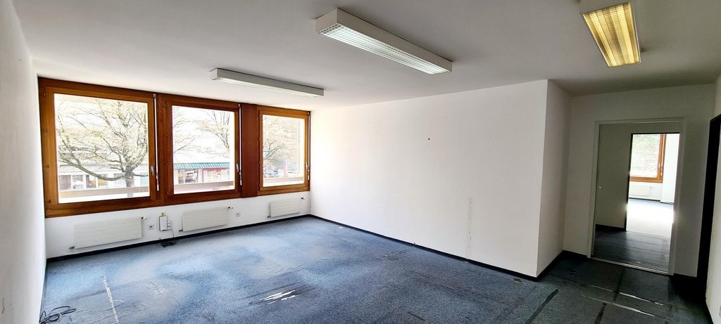 356m² office, foto 3 di 6