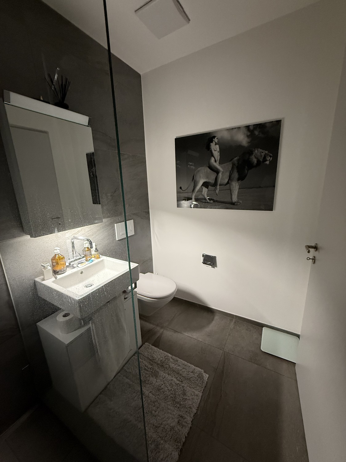 Appartamento di 2 ½ locali, foto 10 di 10