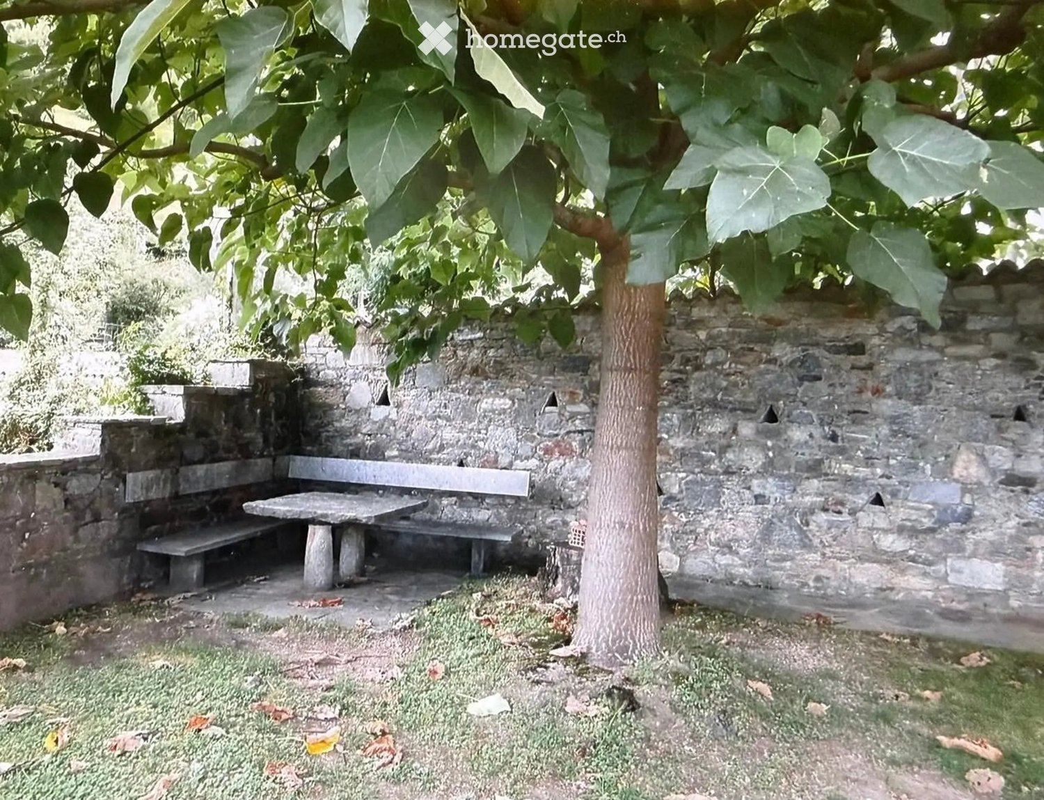 6 locali casa singola, foto 10 di 10