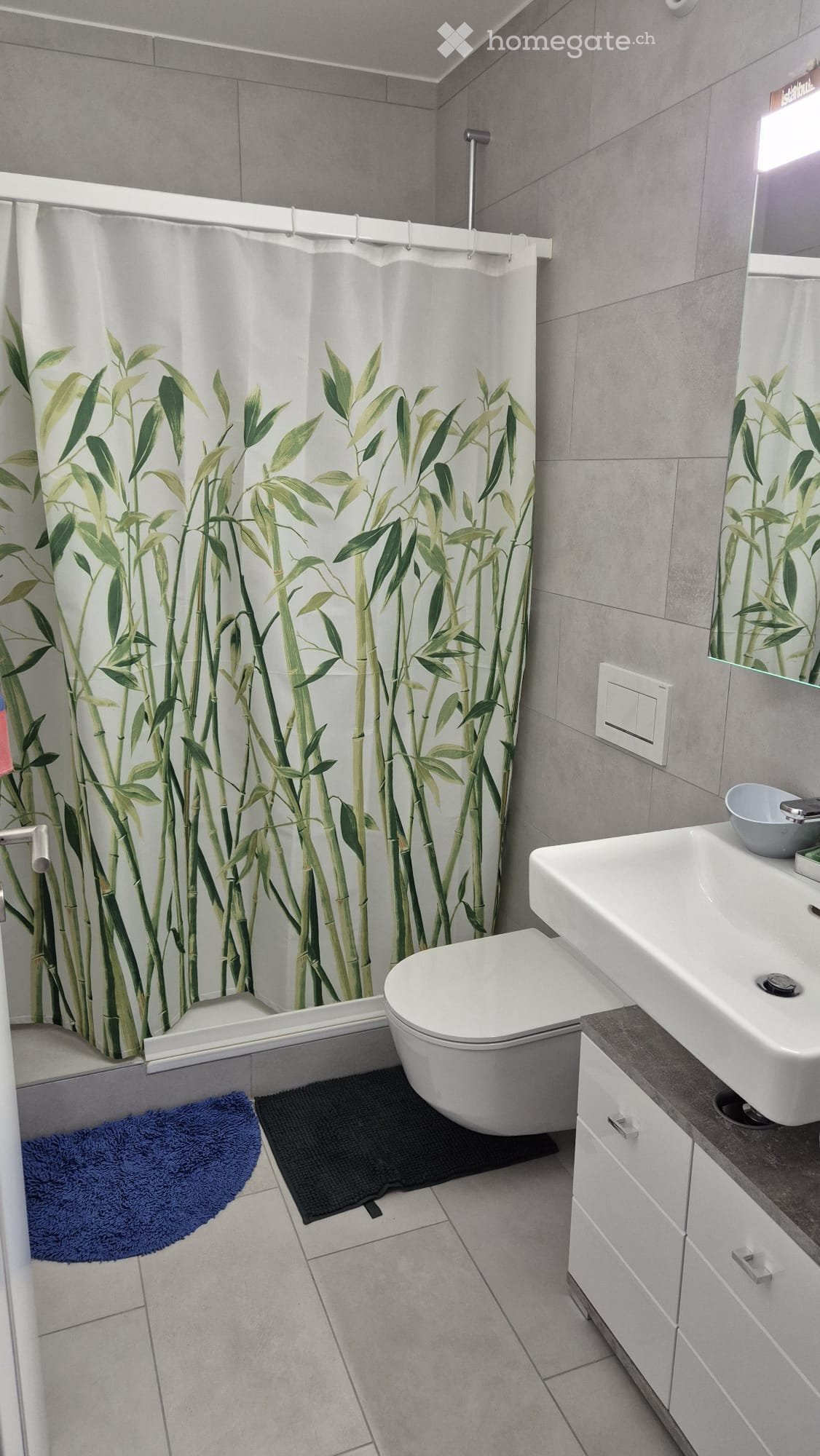 Appartamento di 2 ½ locali, foto 4 di 5