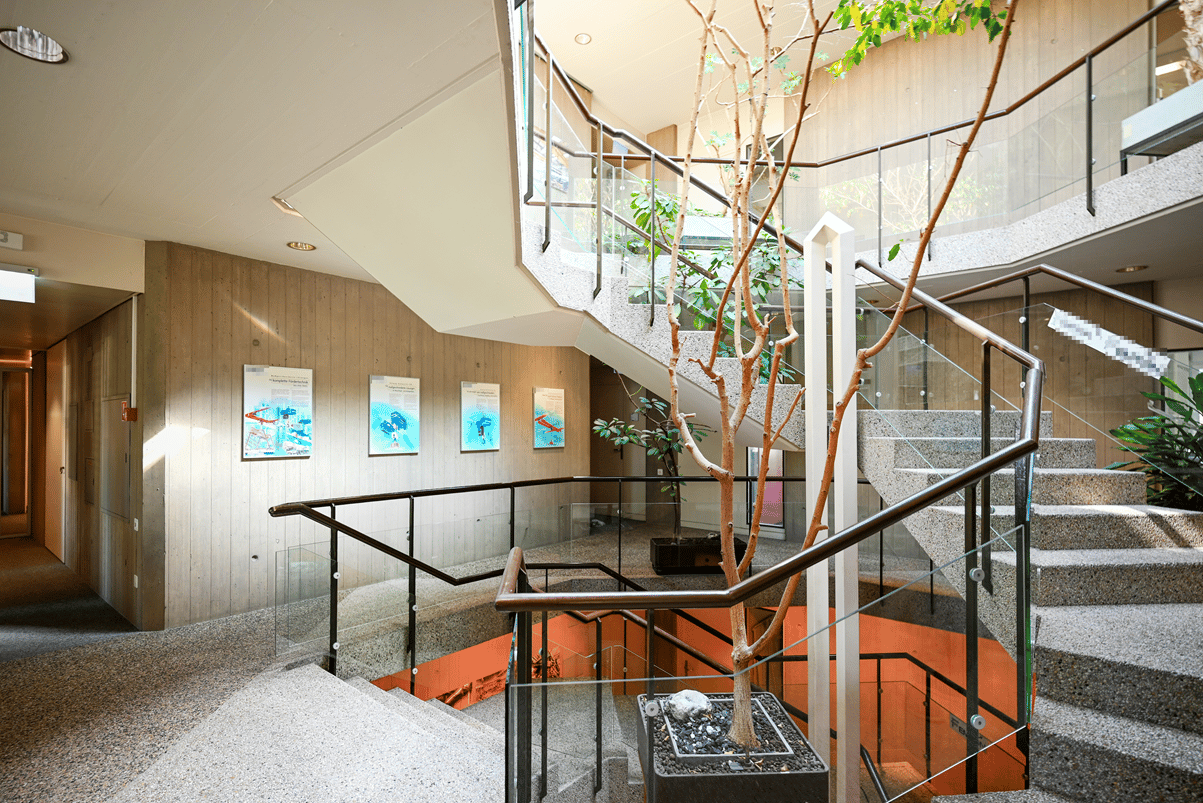 803m² office