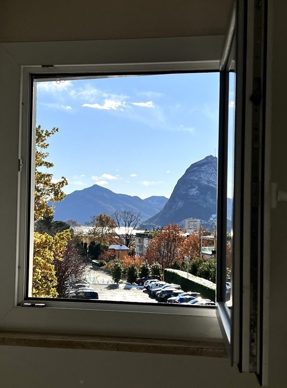 Appartamento arredato di 3 ½ locali, foto 10 di 10