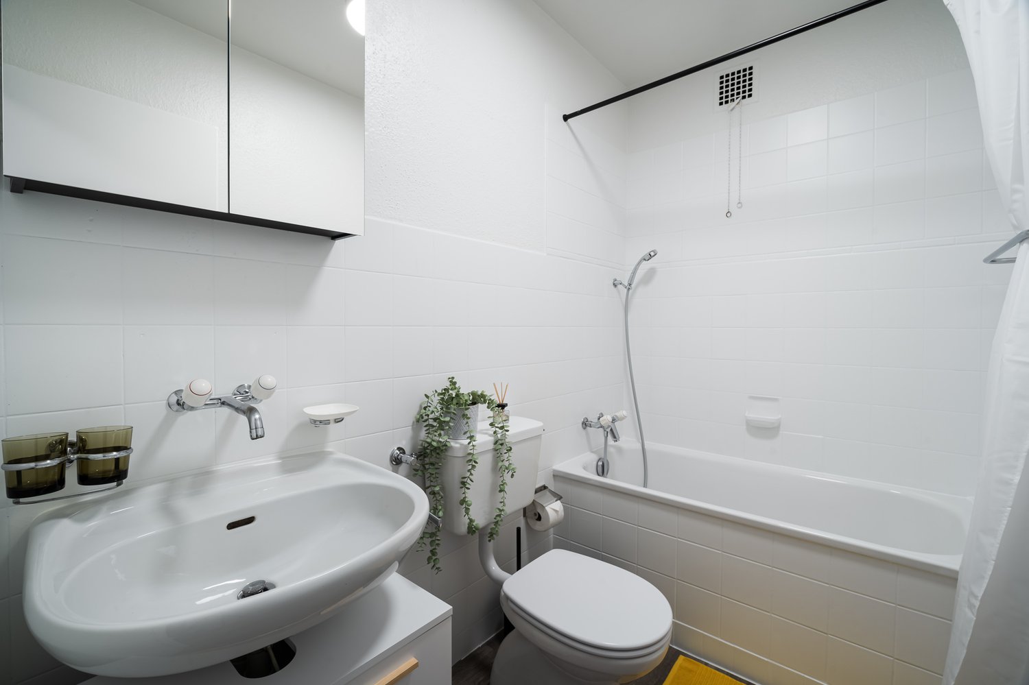 appartamento arredato di 1 ½ locali, foto 9 di 10
